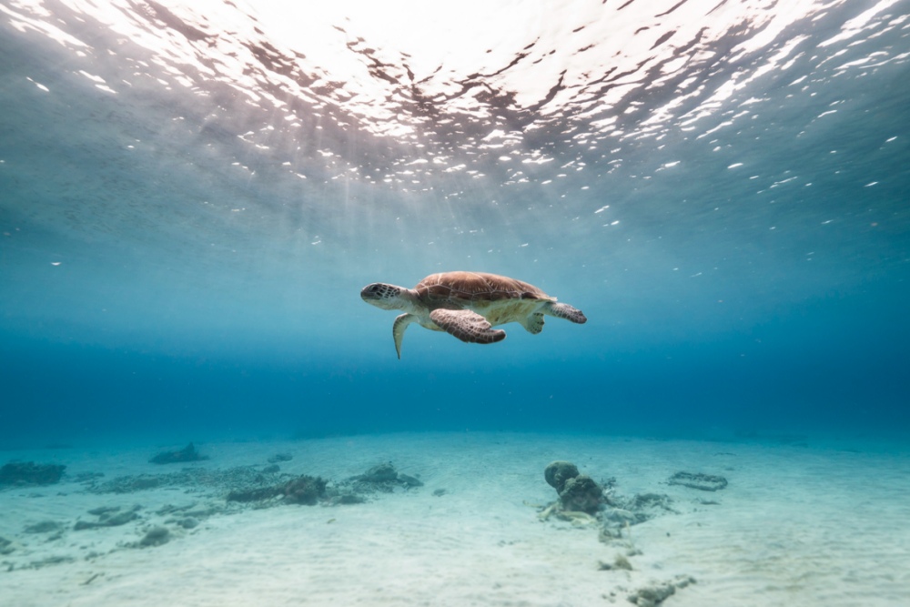 Klein Curacao