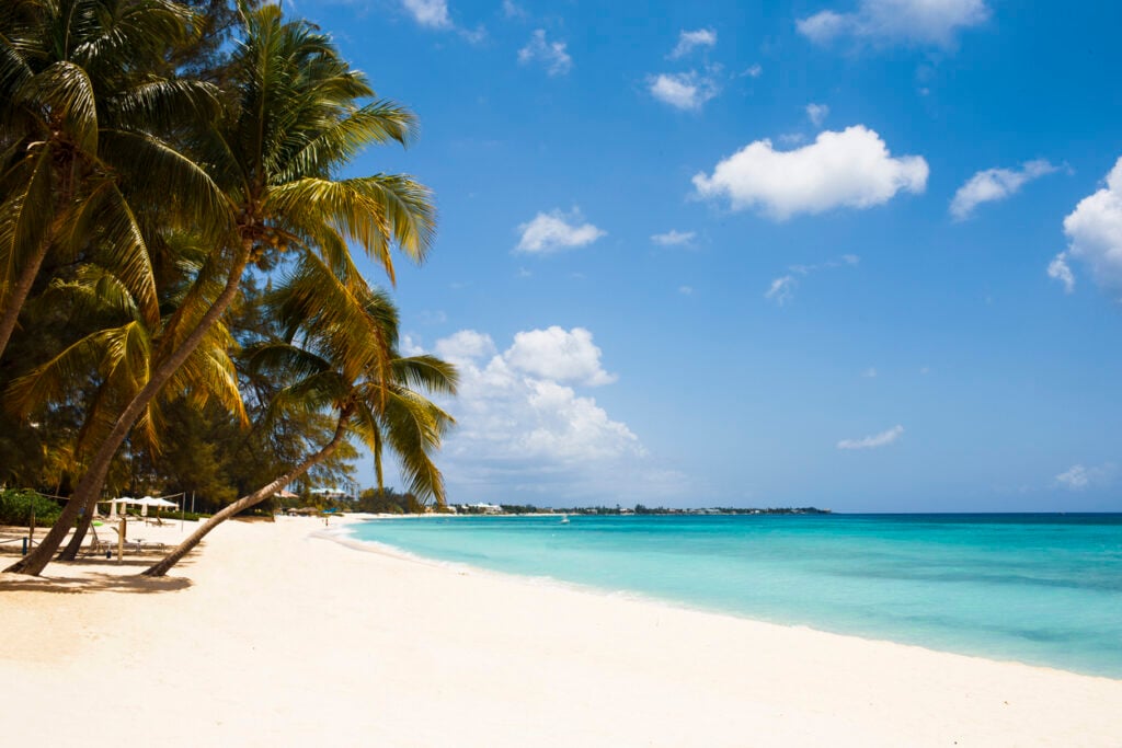 Aruba strand zee palmbomen