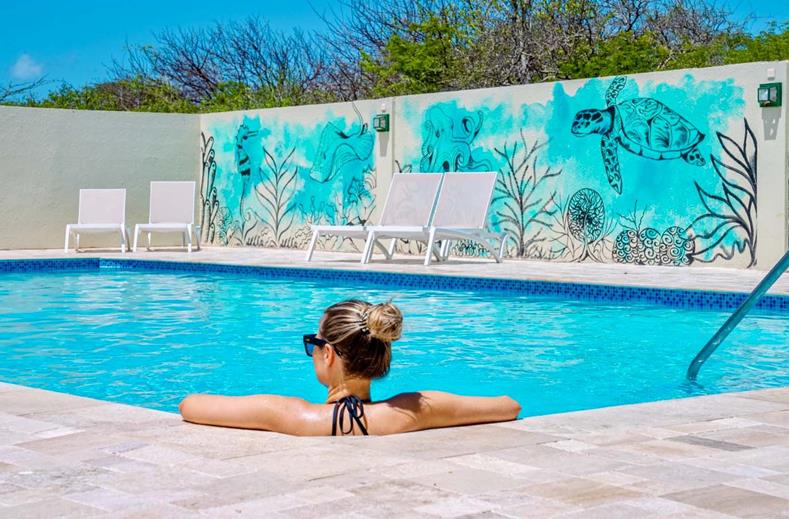 Dream of the Green Flamingo Curacao