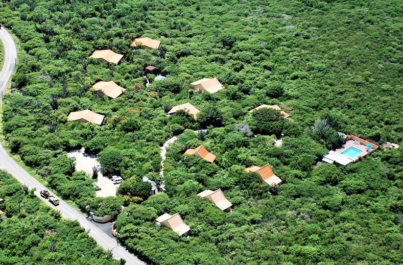 Flamingo Park Curacao