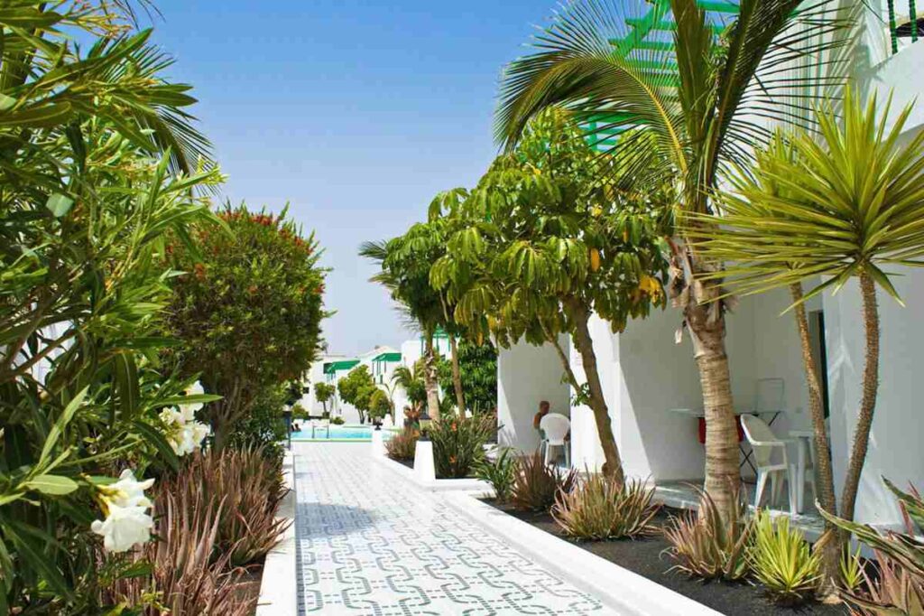 Aloe Appartementen Lanzarote Spanje