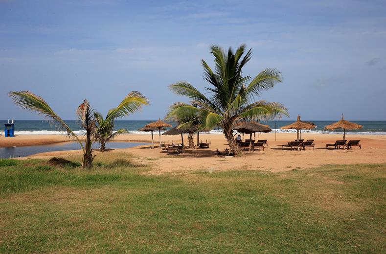 Lemon Creek Gambia