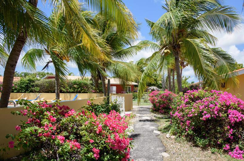 The Pearl of the Caribbean Curaçao