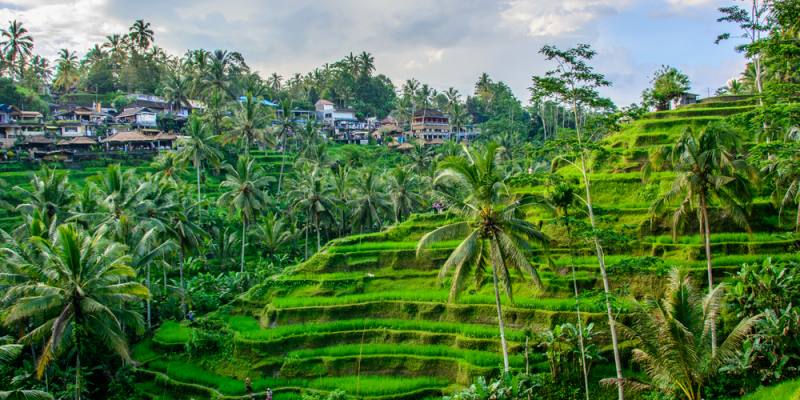 scooters huren op bali