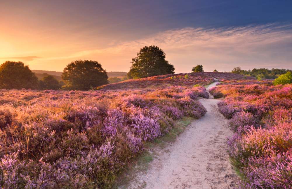 Mooiste wandelroutes Nederland