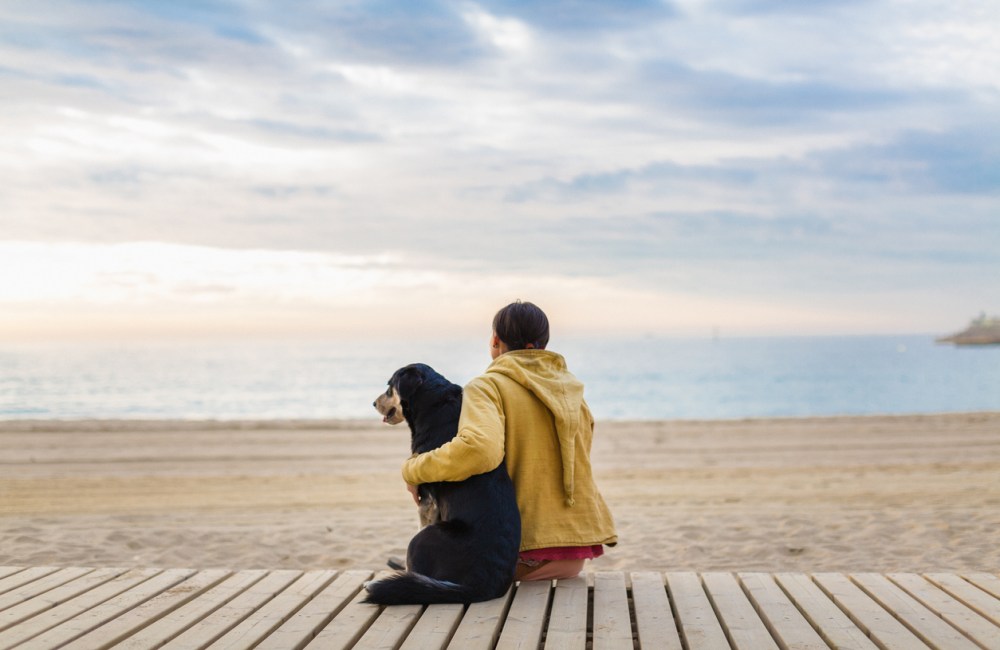 Huisje waddeneiland met hond