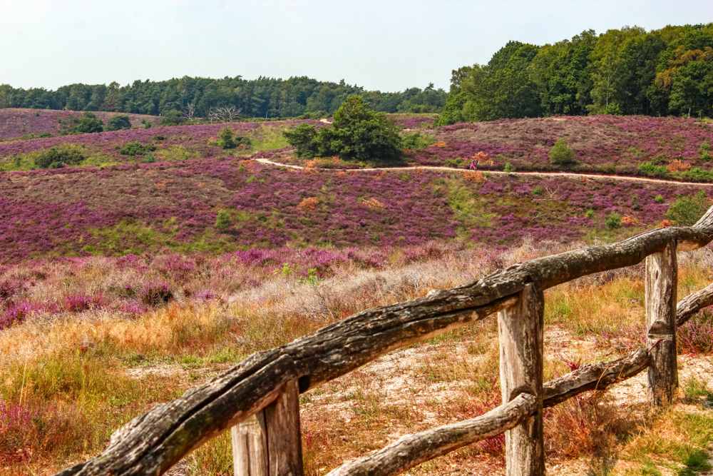 Nationale Parken Nederland