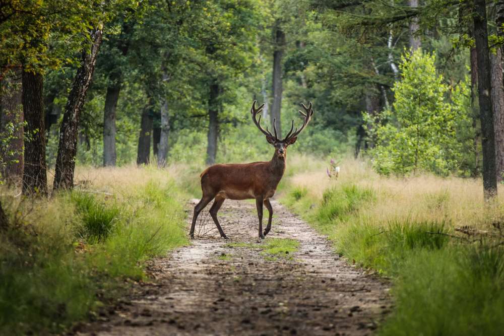 Nationale Parken Nederland