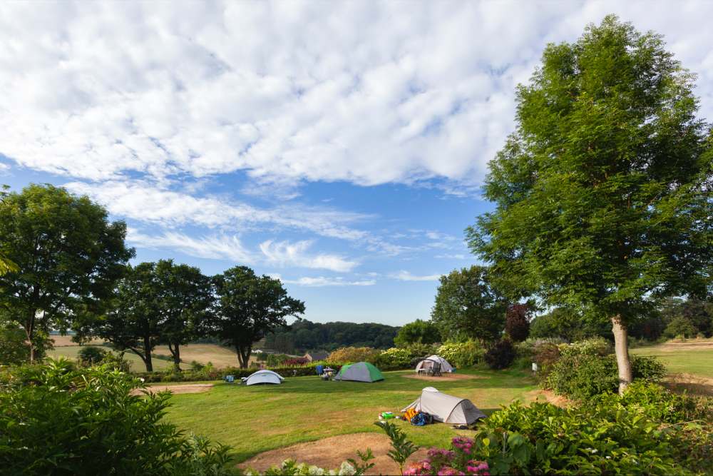 5 sterren camping Limburg