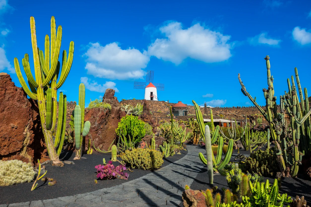 last minute Lanzarote