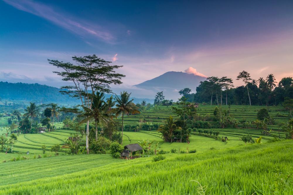 Wat te doen op Bali? Dit zijn de leukste activiteiten