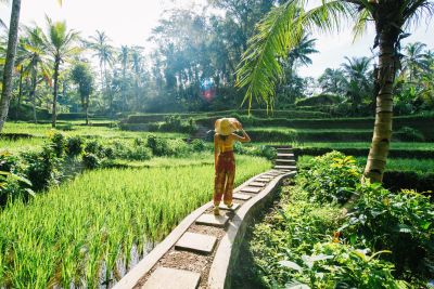 Hiken door de rijstvelden op Bali