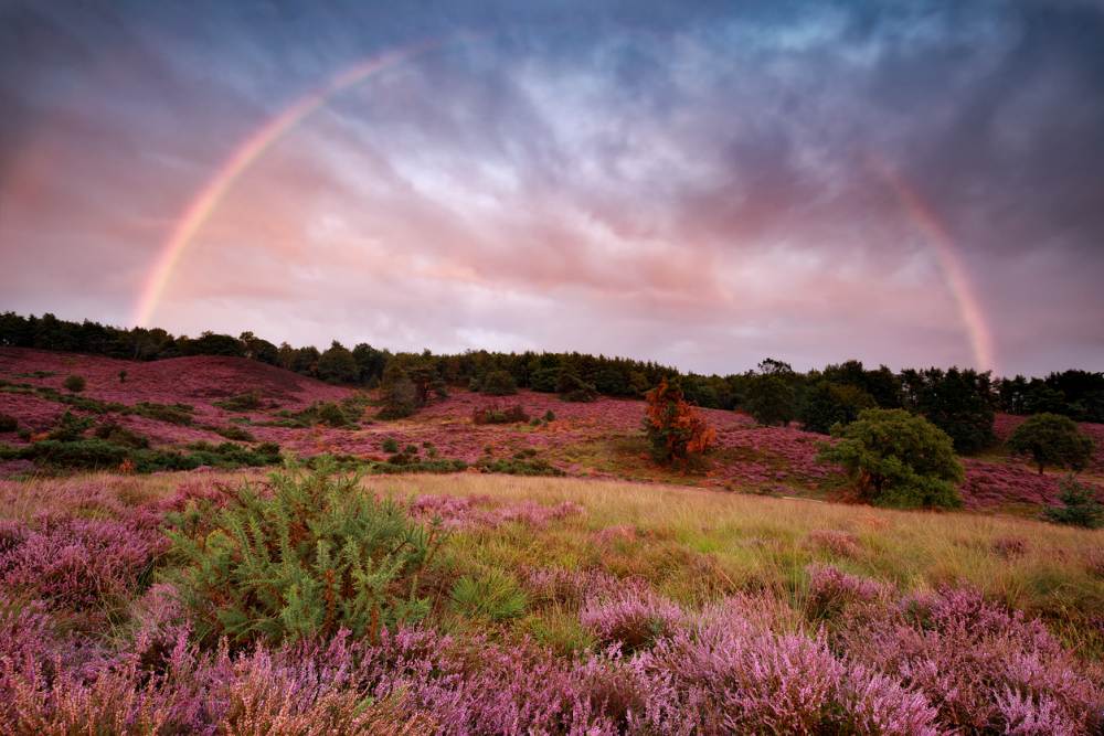 hotel arrangememt veluwe