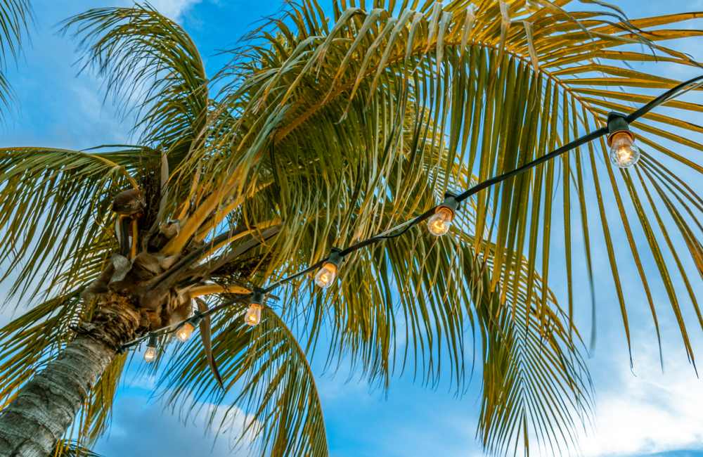 waar is het warm in januari abc eilanden