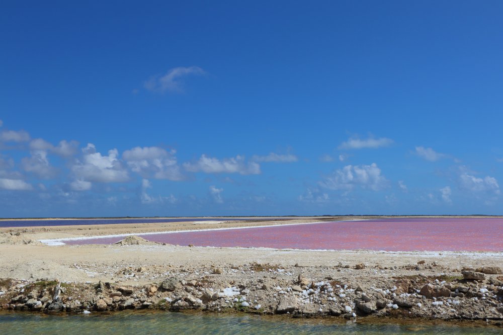 Zoutpannen op Bonaire