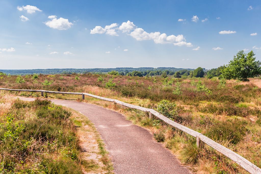 Landal De Hellendoornse Berg