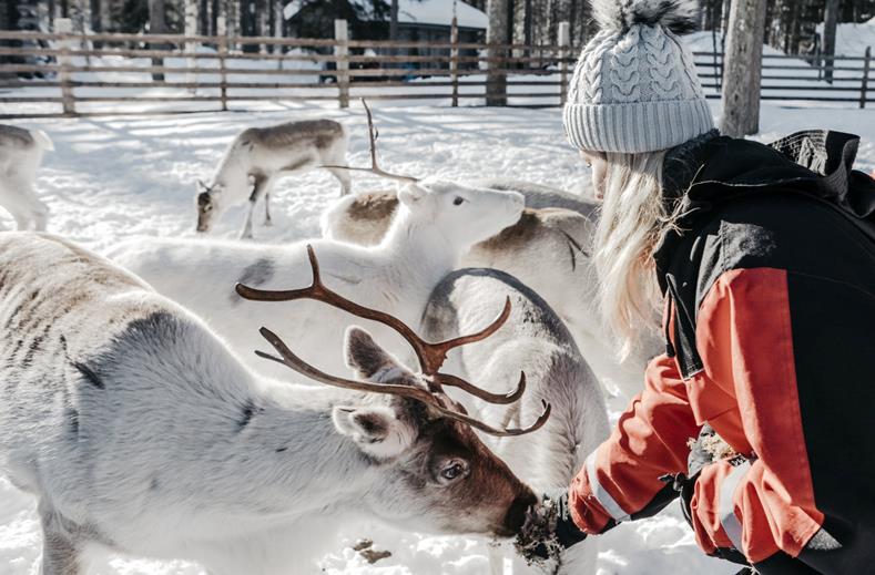 Vakantie Lapland inclusief excursies