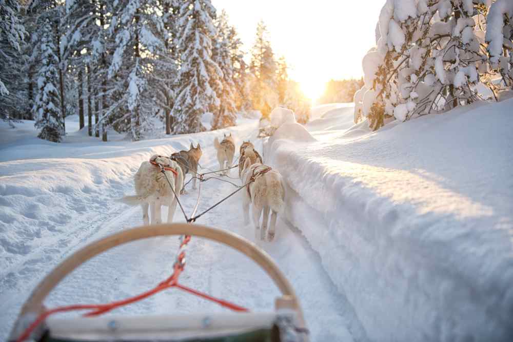 Vakantie Lapland inclusief excursies