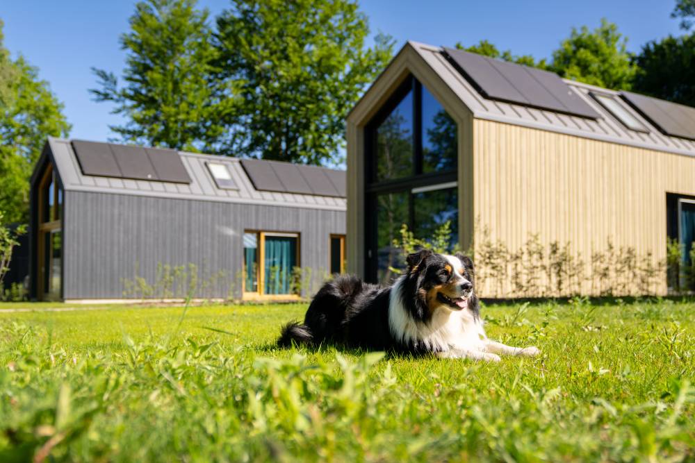 Luxe vakantieparken met de hond