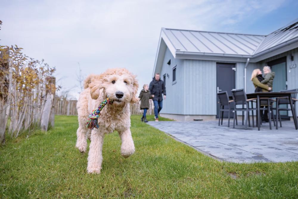 Vakantiepark luxe met hond