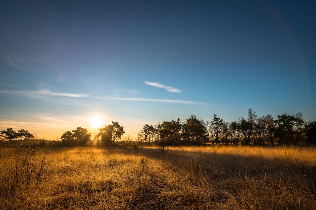 Vakantiepark De Strabrechtse Vennen Brabant Nederland