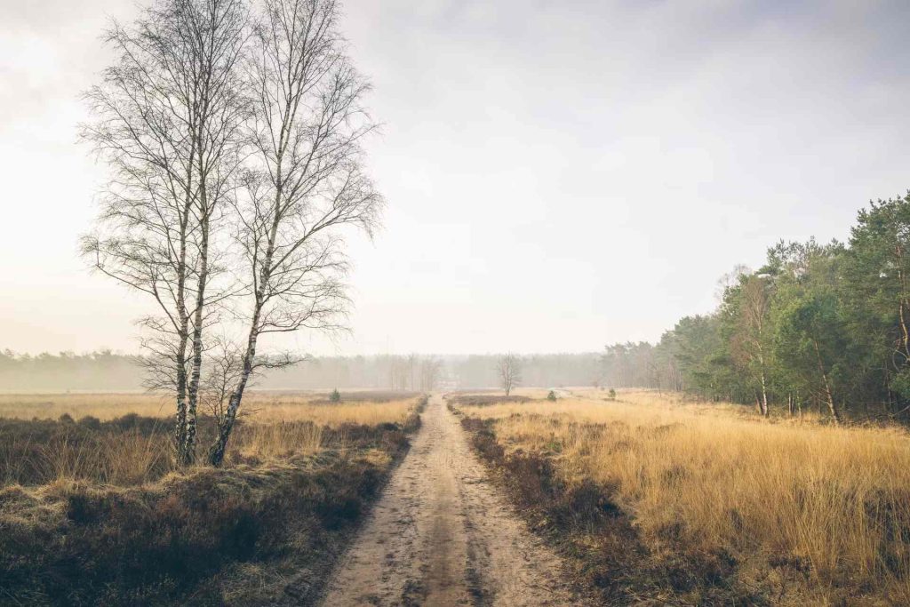 Marber Veluwe