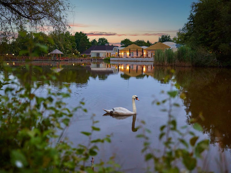Center Parcs Limburgse Peel Limburg Nederland