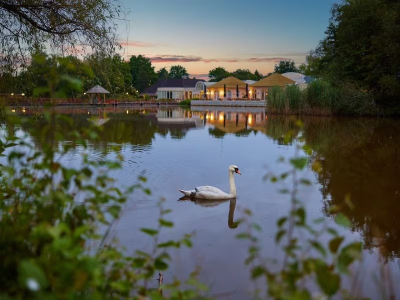 Center Parcs Limburgse peel Limburg Nederland