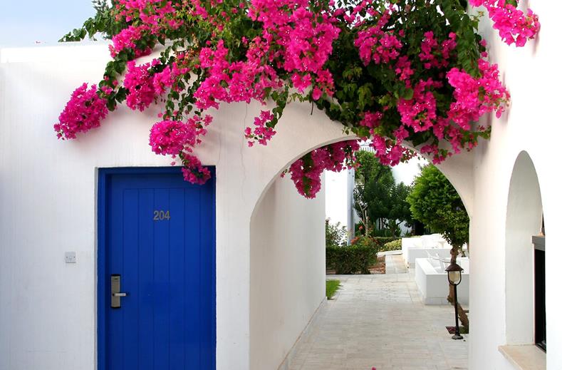 TIME TO SMILE Aliathon Village Paphos Cyprus