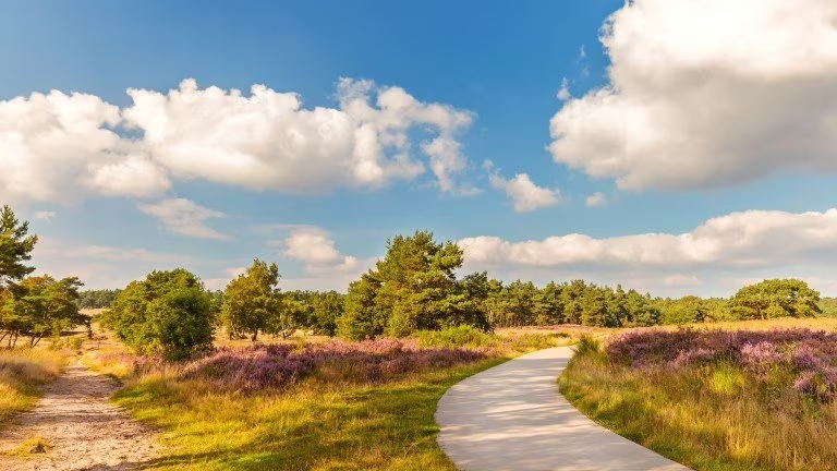 Hotel Mennorode Elspeet Gelderland Nederland