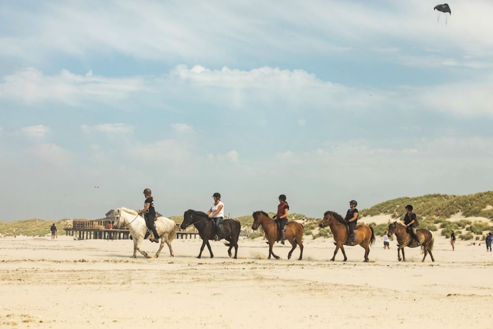 kleinschalige strandhuisjes aan zee