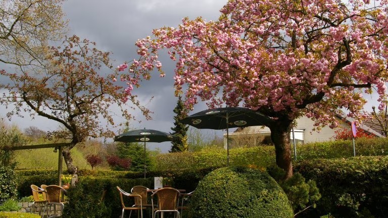 Landhotel De Hoofdige Boer Almen Gelderland