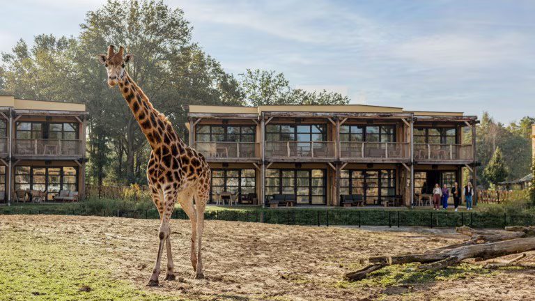 Safari Hotel Beekse Bergen Noord-Brabant Nederland