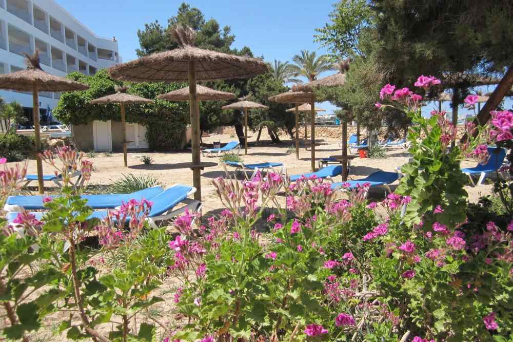 Ses Savines Hotel Ibiza Spanje