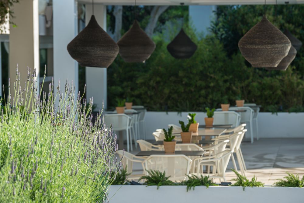 aanbieding black friday sunweb