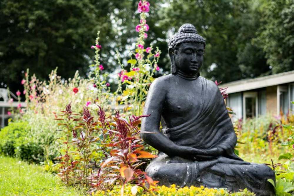 de elderschans aanbieding