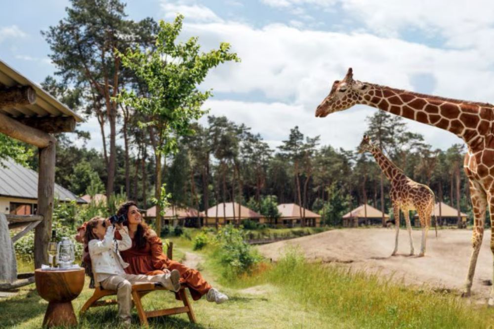Safari Resort Beekse Bergen aanbieding
