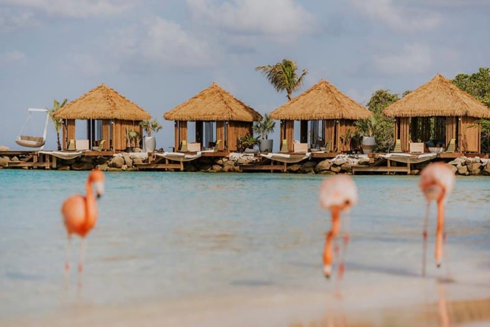 flamingo beach