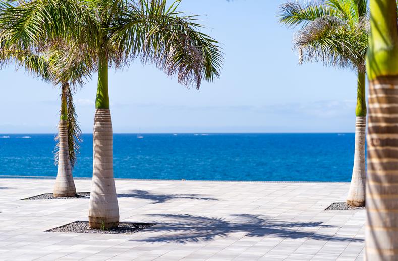 Hovima Jardin Caleta Tenerife