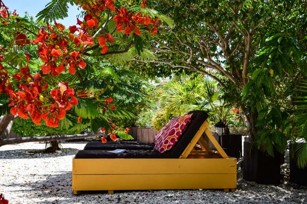 Jan Kok Lodges Sint Willibrordus Curacao