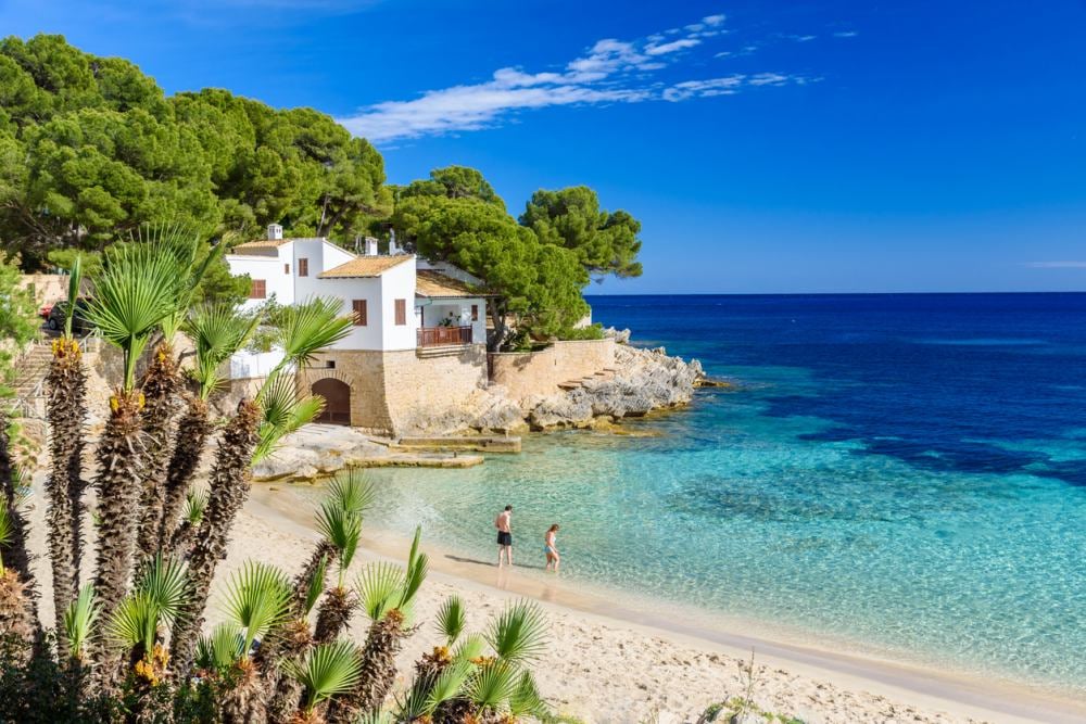 Menorca of Mallorca?
