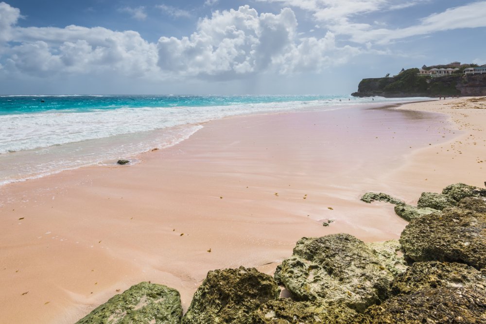 roze strand barbados