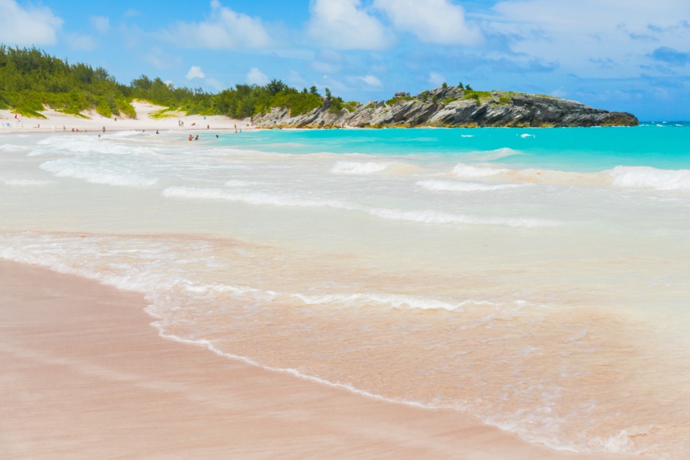 roze strand bermuda