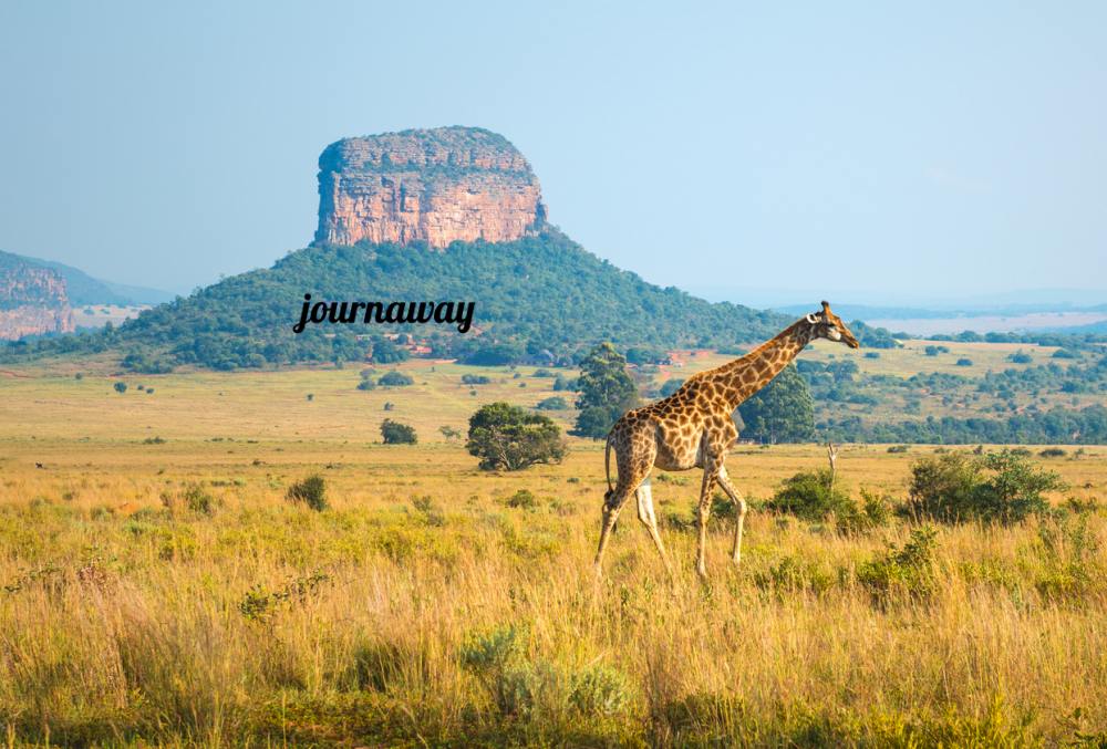 journaway black friday