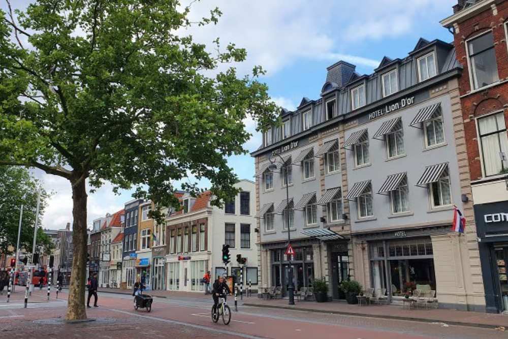 kerstmarkt haarlem arrangement met hotel