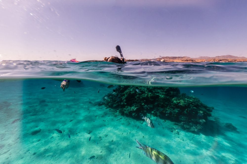 snorkelen in egypte