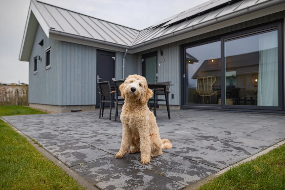 vakantiehuis met omheinde tuin