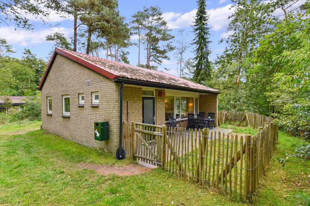 vakantiehuis met hond omheinde tuin