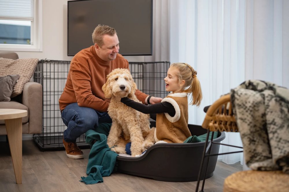 vakantiehuis met hond omheinde tuin