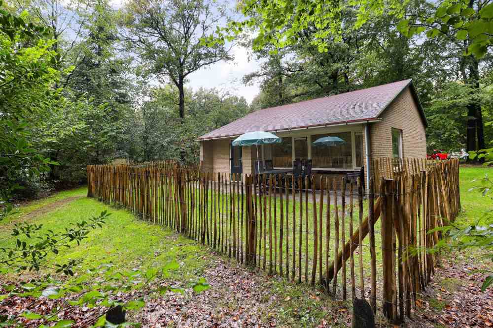 omheinde tuin vakantiehuis met hond